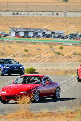 media/Sep-08-2024-VIP Trackdays (Sun) [[e20bd699b9]]/C Group/Session 1-Turn 2/